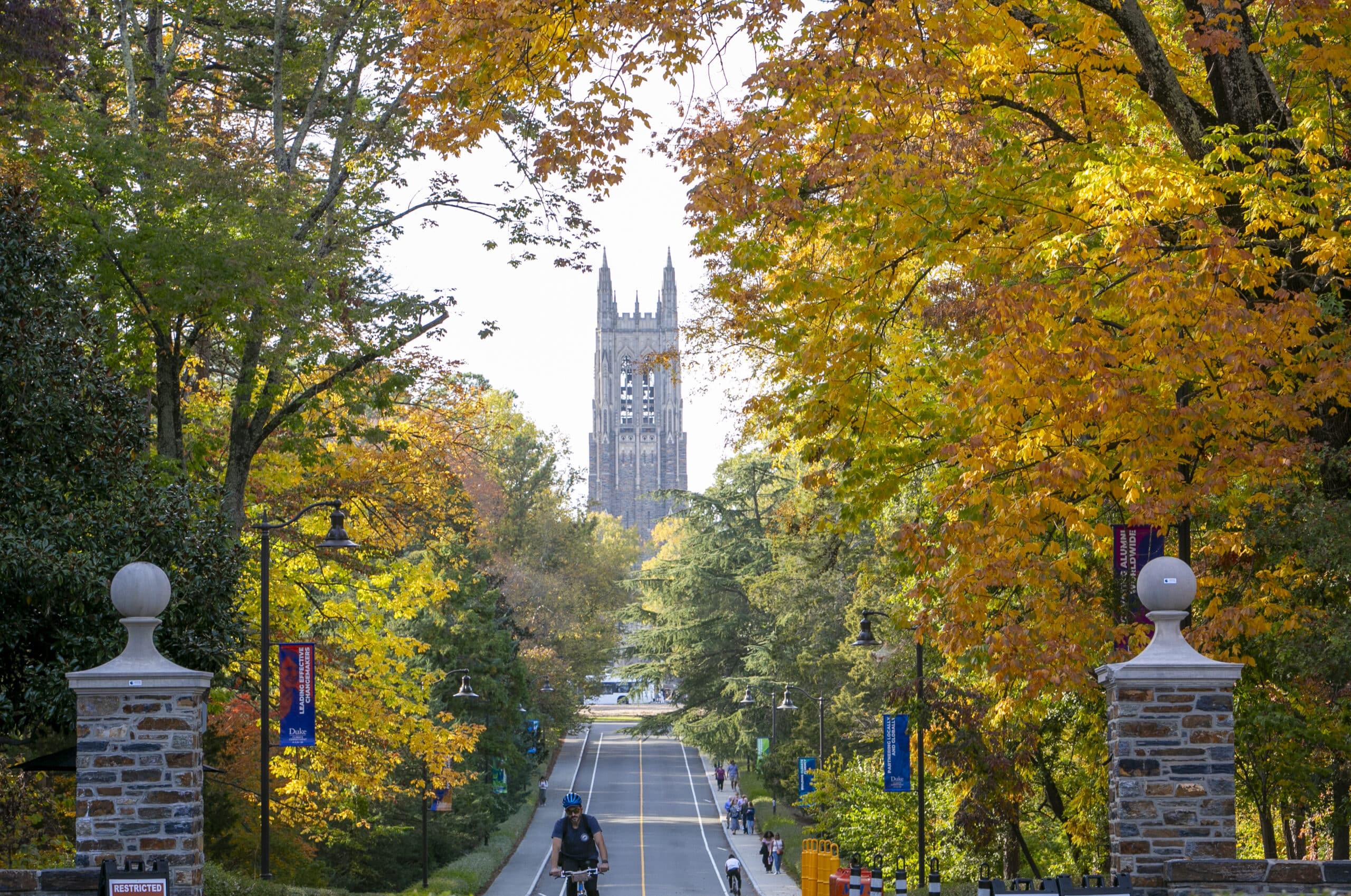 Scenes of Fall color on Duke’s West Campus.