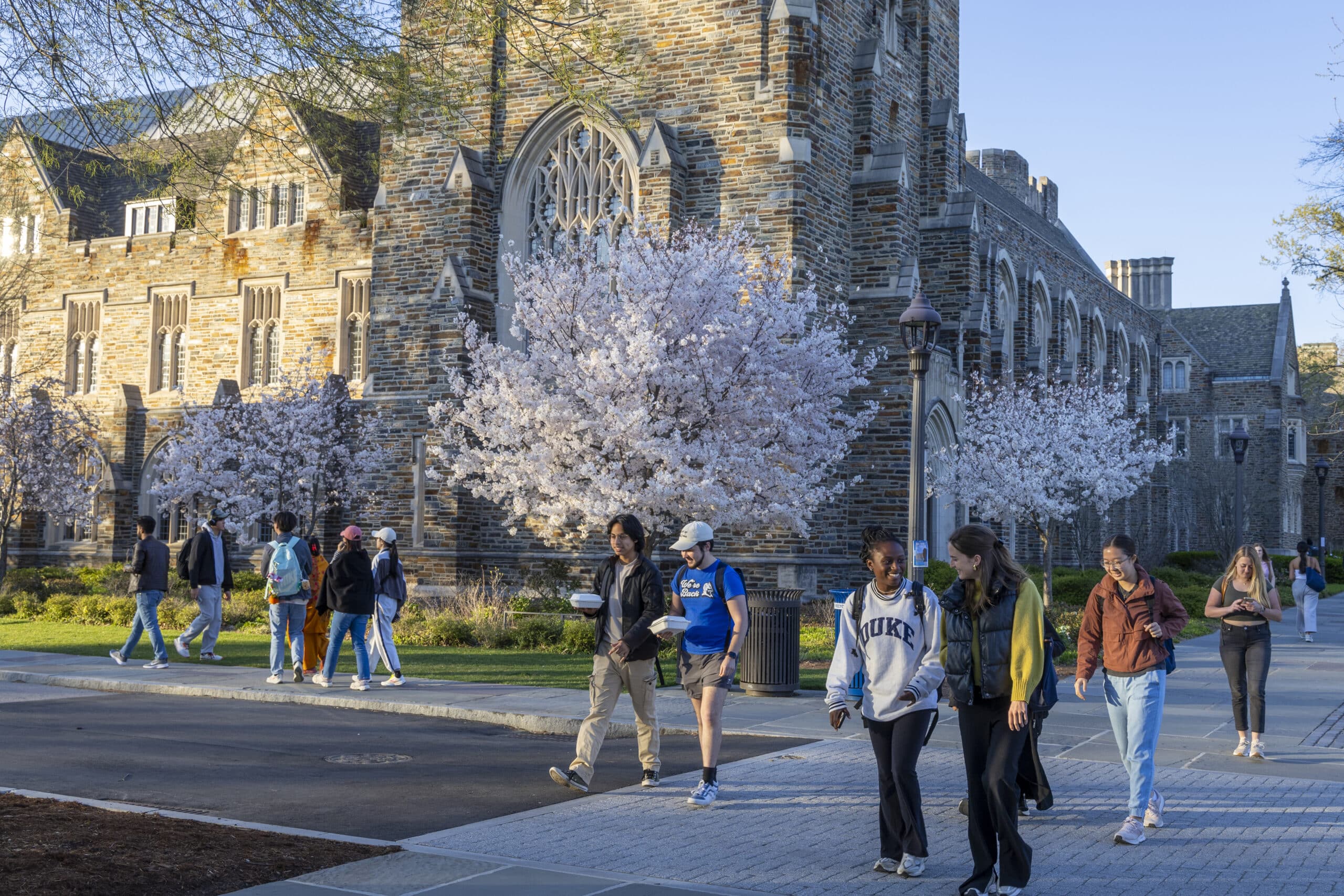 Spring blossoms are at their colorful peak on Duke’s Abele Quad during a beautiful March afternoon.