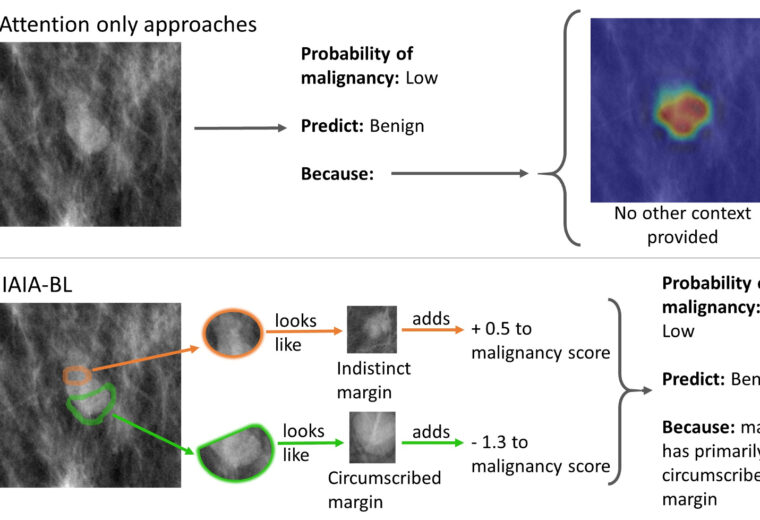 research figure with annotated microscope images and text: Attention only approaches, and IAIA-BL