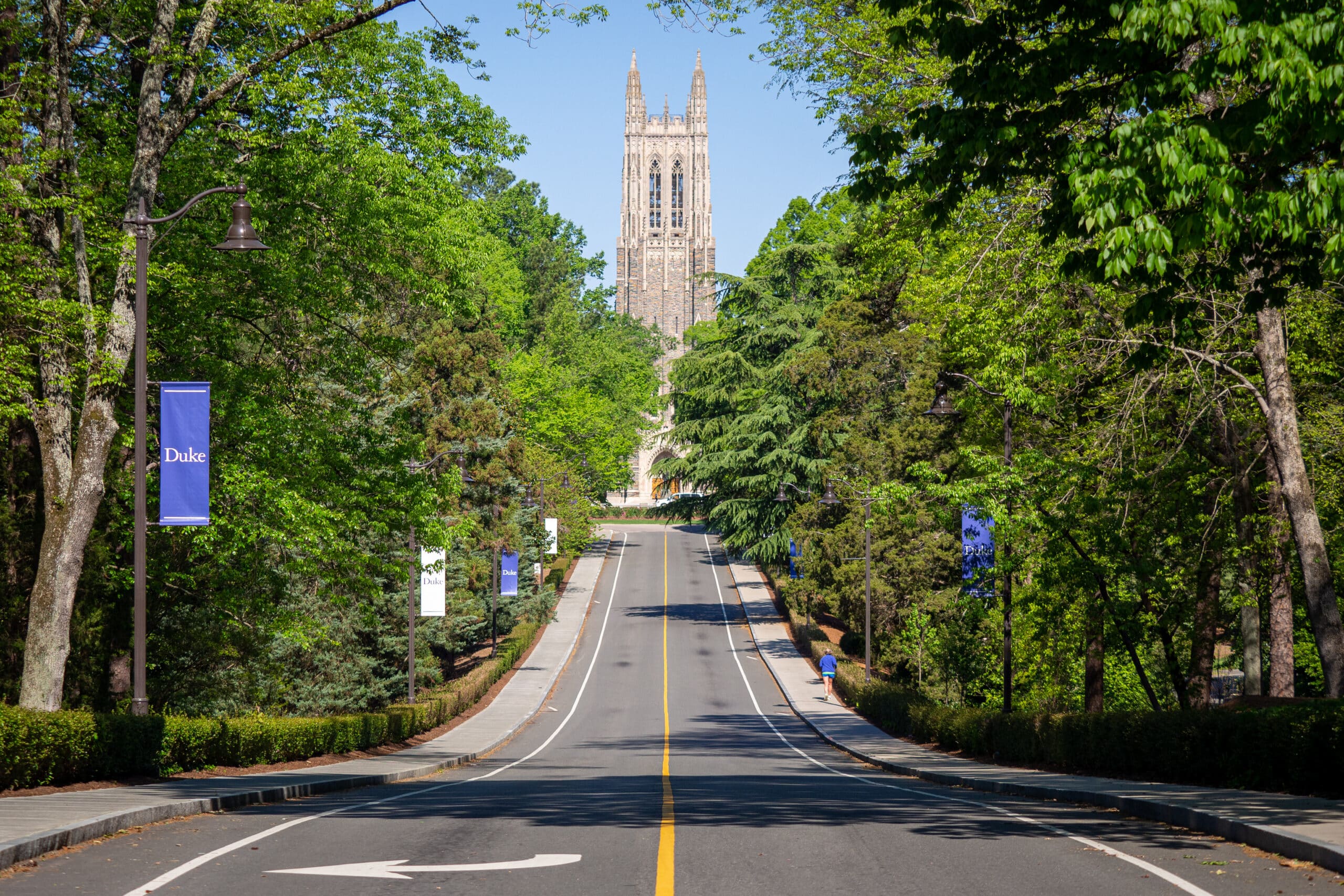 Chapel Drive views